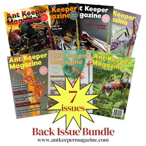 7-issue back issue print bundle (UK) - Issues 1 - 7